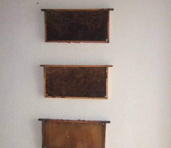 Hofmann Värdshus 3*